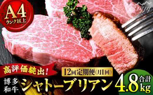 【全12回定期便】希少部位！ 博多和牛 牛肉 ヒレ シャトーブリアン 400g（200g×2） ＜肉のくまもと屋＞ 那珂川市 シャトーブリアン ヒレ ステーキ 定期便 黒毛和牛 赤身 ステーキ肉 フィレ ヒレ シャトーブリアン ヒレ肉 しゃとーぶりあん [GBI029]