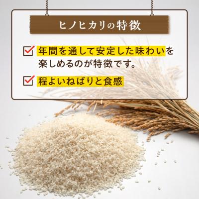 ふるさと納税 糸島市 糸島産ヒノヒカリ 3kg/ 平山農園 米 白米 ご飯 お米 3kg [AXN005] |  | 02
