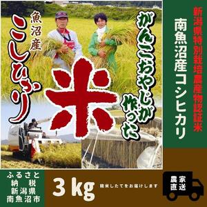 【特別栽培米】【令和6年産】　がんこおやじが作った南魚沼産コシヒカリ 白米３kg