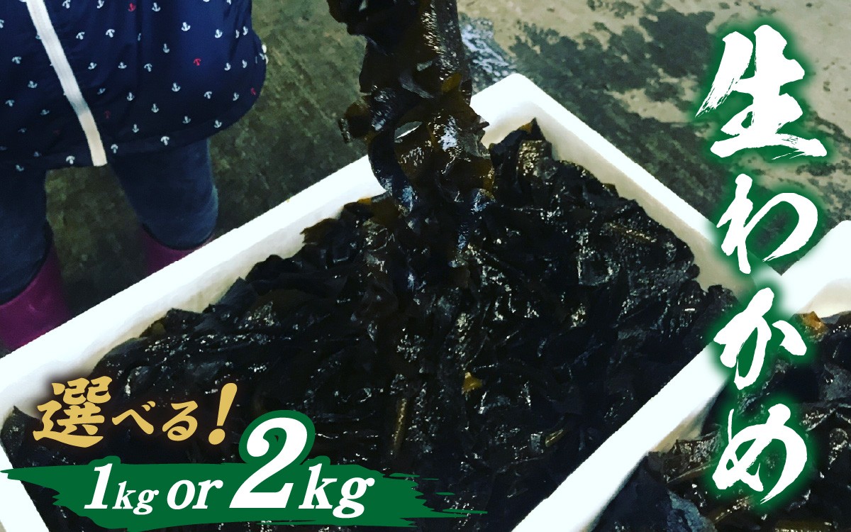 
                  【先行予約】【選べる容量】とれたて！！厳選生わかめ　1.0～2.0kg【2026年4月上旬ごろ順次発送】 | 新鮮 お造り 刺身 晩酌 食卓 BBQ 
                