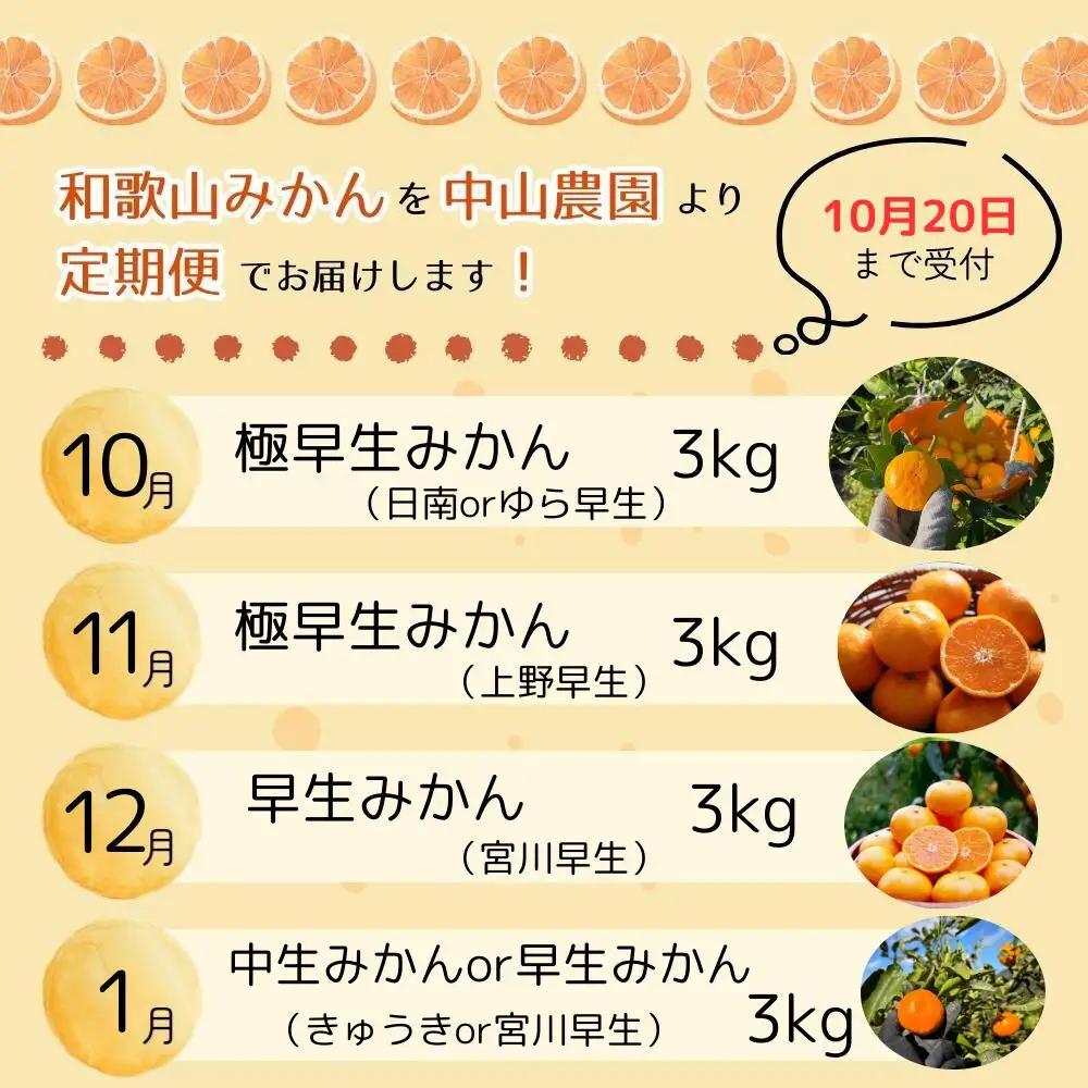 【全4回定期便】樹上完熟みかんフルコース【10月20日まで】 / 宮川早生みかん・ゆら早生・きゅうき・上野早生※2026年10月より発送 / 和歌山県 ミカン フルーツ 果物 柑橘 田辺市 みかん く