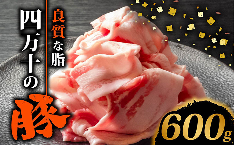 
四万十ポークスライス600g | 300g × 2パック セット 豚肉 豚バラ肉 小分け 小間切れ スライス 切り落とし 冷凍 真空パック 簡単調理 細切れ 大容量 肉 高知県 須崎市 TM035
