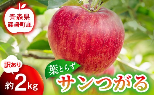 
                  【先行予約】訳あり 葉とらず サンつがる 約2kg【グランドアップル】 青森りんご リンゴ 林檎 アップル 果物 くだもの フルーツ F41-0040
                