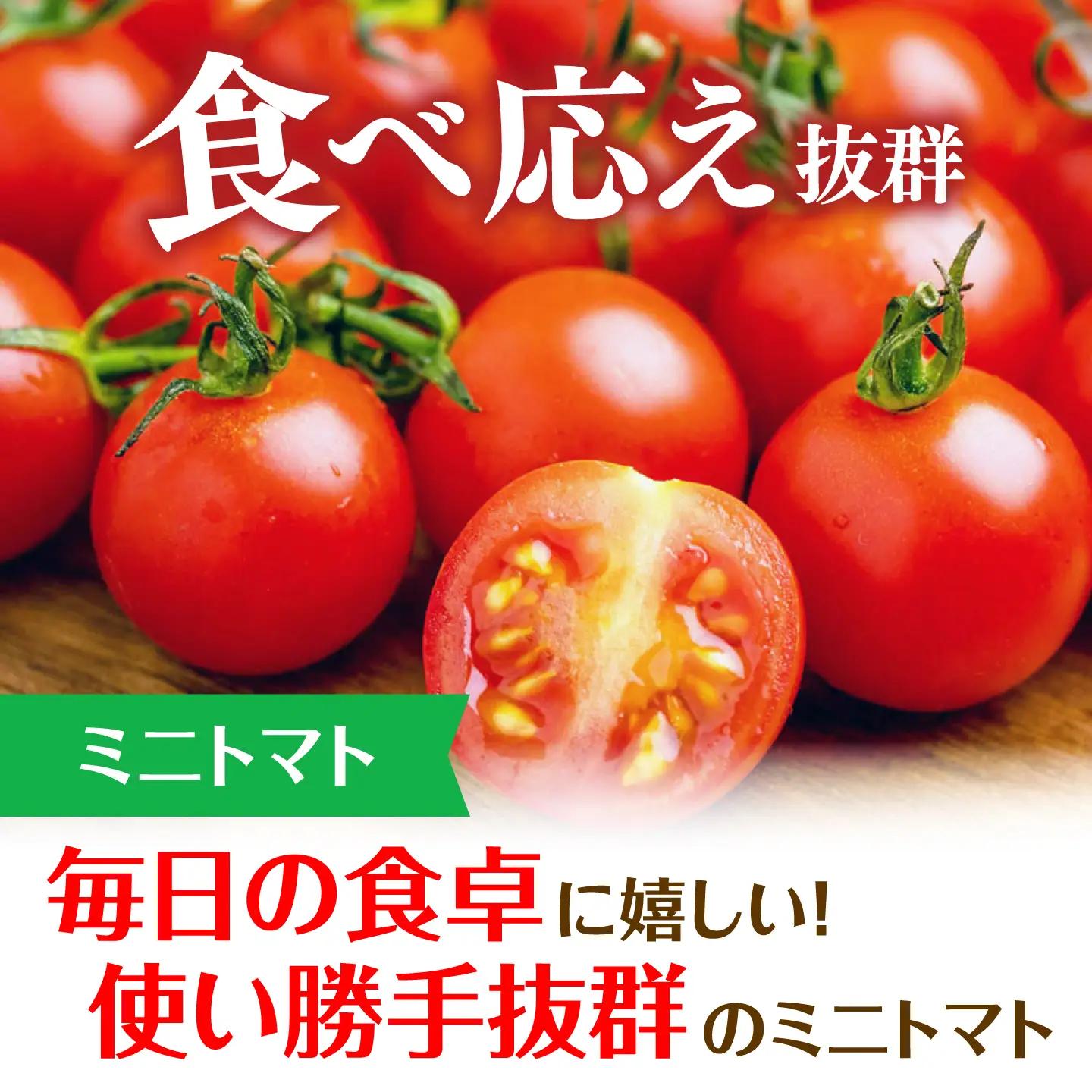 先行予約 ミニトマト 1kg[QBG003]