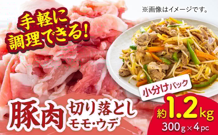 
            豚肉切り落とし（モモ・ウデ部位指定なし）約1.5kg（約300g×5pc）【吉里精肉】ぶた ブタ 肉 きりおとし 小分け パック 冷凍 冷凍便 熊本県 [ZEW020]
          