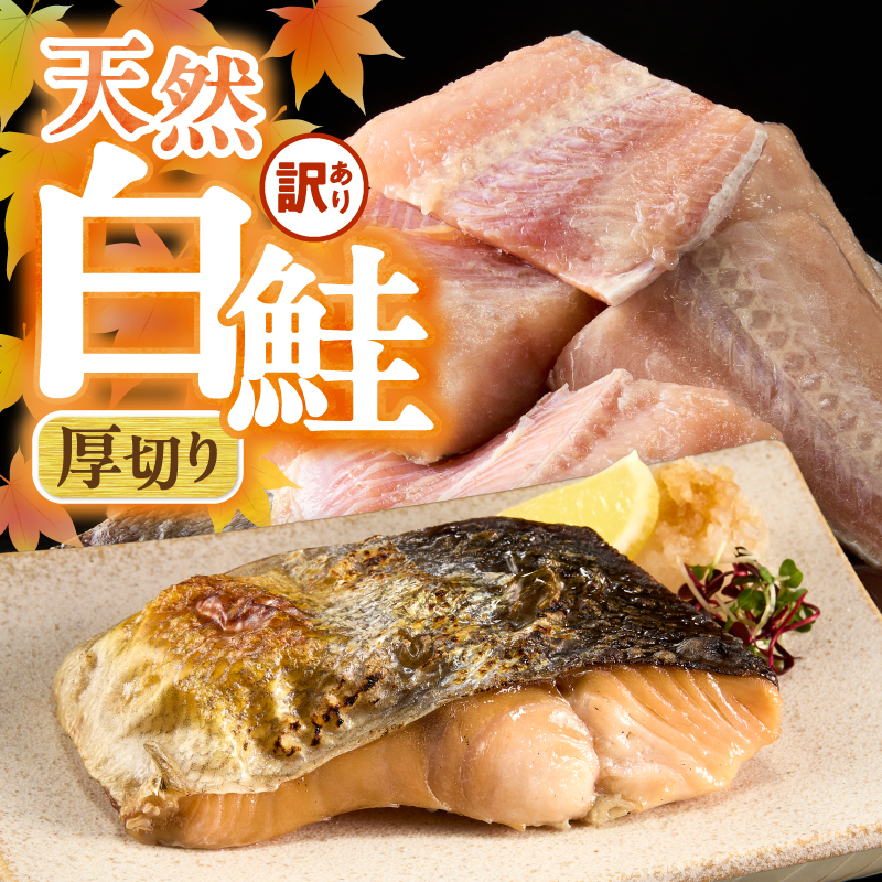 a20-487　厚切りカット！天然 白鮭 甘口 切身 約3kg