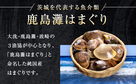 大洗産鹿島灘天然はまぐり 3㎏ 冷蔵 お吸い物 ハマグリ 蛤 貝 砂抜き処理 魚介類 大洗産 天然 はまぐり_BQ012