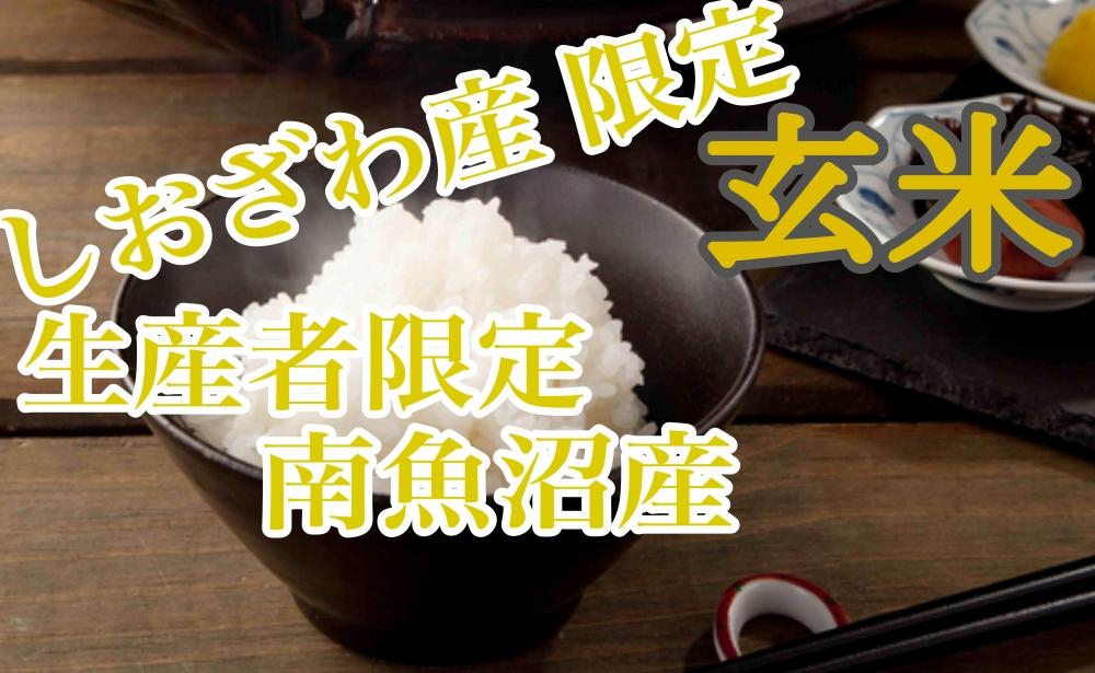 【定期便6kg×9ヶ月】玄米 しおざわ産限定 生産者限定 南魚沼産コシヒカリ