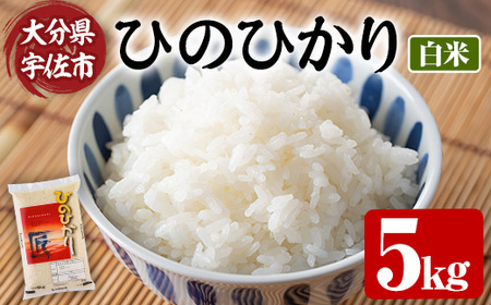 ＜令和7年産・新米＞ひのひかり 白米 (5kg) お米 ごはん ご飯【107101002】【あいはな農園】