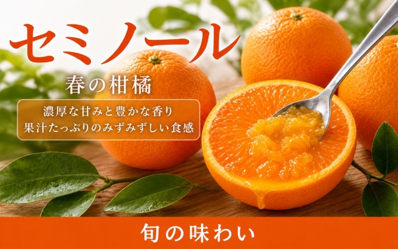 
                  ジューシー柑橘　セミノールオレンジ　約5kg【2027年5月上旬頃〜2027年5月下旬頃に順次発送予定(お届け日指定不可)】
                