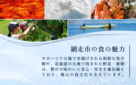 【返礼品なし】北海道網走市・応援寄附10,000円（寄附のみの応援受付 ※返礼品はございません） ABBT003