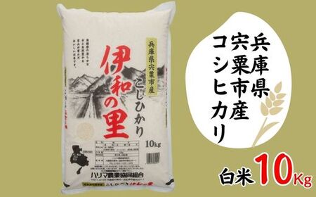 P8 【令和7年産】新米しそうのおいしいお米コシヒカリ精米「伊和の里」10㎏