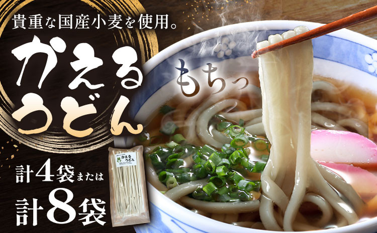 
                  うどん かえるうどん 細麺 太麺 2種 4袋 8袋 野木町産小麦100％《30日以内に出荷予定(土日祝除く)》 宝咲屋 麺類 麺 栃木県 野木町
                