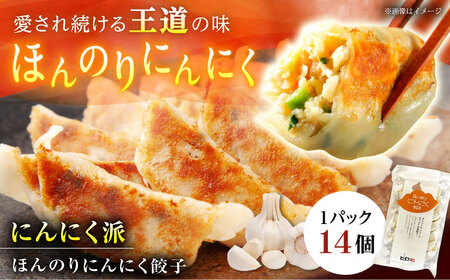 【王道！にんにく派×2パック】選べる餃子2種セット！【餃子屋ヒロ】開成町 餃子&nbsp;点心 惣菜 冷凍[BDAS008-3]