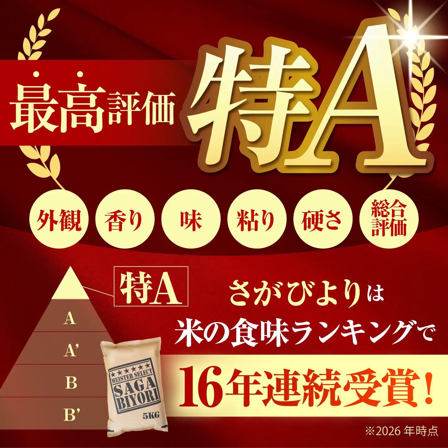 【全12回定期便】 さがびより 無洗米 20kg（5kg×4袋）【五つ星お米マイスター厳選】特A米 特A評価[HBL130]