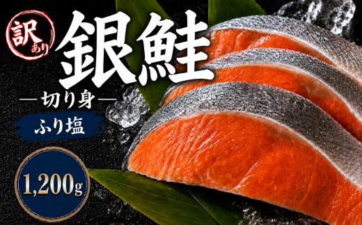 【訳あり】 塩銀鮭 12切れ｜鮭 塩銀鮭 銀鮭  魚介類 海鮮 鮭 訳アリ 不揃い さけ サケ 鮭切身 シャケ 鮭 切り身 冷凍 鮭 家庭用 おかず 弁当 鮭 支援 サーモン 銀鮭切り身 魚 わけあり 栃木県 真岡市 送料無料