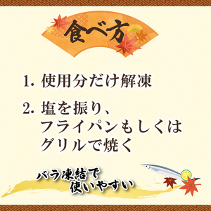 極小 さんま 2kg 1kg×2袋 冷凍  サンマ 秋刀魚 こぶり 骨まで食べられる 冷凍さんま 無添加さんま 小さなさんま