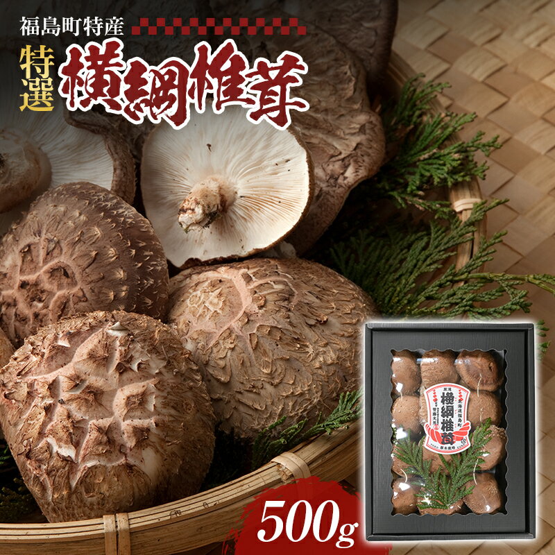 【ふるさと納税】福島町特産・特選「横綱椎茸」500g 【 きのこ キノコ しいたけ シイタケ 椎茸 特産 特選 原木栽培 横綱 食品 食材 料理 贈答 贈り物 ギフト プレゼント 北海道 福島町 送料無料 】 FKG001