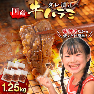 国産 特製たれ漬 牛ハラミ サガリ 1.25kg 2025年2月中旬より順次発送 JX003-5