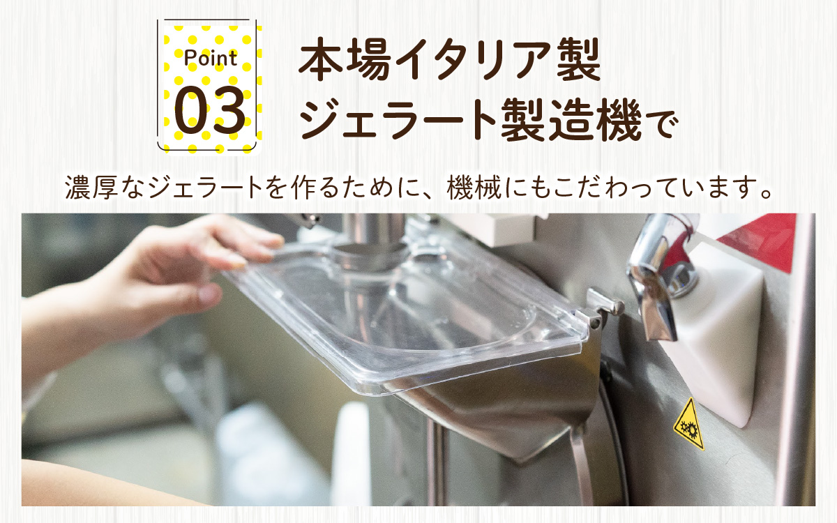 越前大野の「名水育ち生乳ジェラート」おまかせ 8個セット