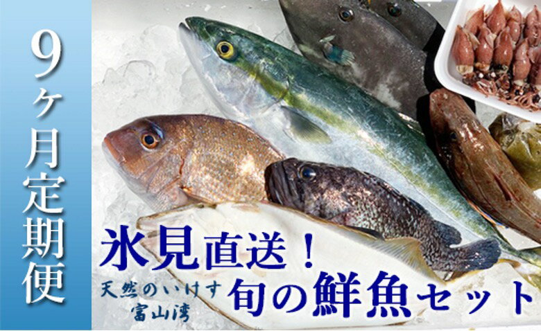 【ふるさと納税】〈9ヶ月定期便〉天然のいけす 富山湾 氷見漁港直送！ 旬の鮮魚セット〈配送地域限定〉