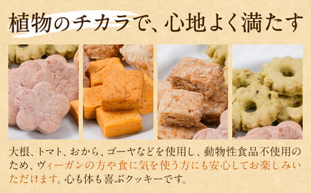 苓北 ヴィーガンクッキー 5袋 セット 洋菓子店Hana《30日以内に出荷予定(土日祝除く)》 熊本県 苓北町 送料無料 菓子 クッキー 卵 乳製品不使用 天草 熊本 送料無料 ビーガン