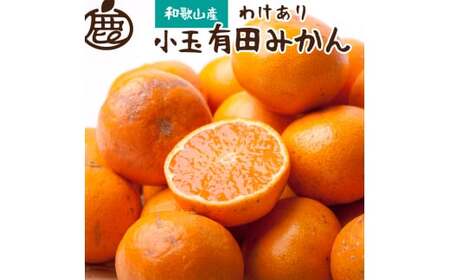 家庭用 小さな 有田 みかん (S以下) 5kg+250g ※11月発送 / 温州みかん 有田みかん 訳あり 甘い 光センサー選果 果物 柑橘 和歌山 ※北海道・沖縄・離島への配送不可 【ikd004