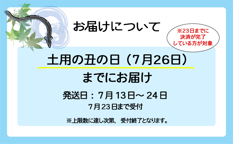 【土用の丑の日までにお届け】 国産 うなぎ 3尾 計330g以上 ※サイズ不揃い 訳あり 鰻 うなぎ蒲焼 蒲焼 蒲焼き 丑の日 ウナギ  K1804