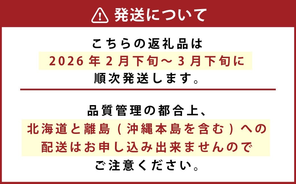化粧箱入り ベリーツ 約1kg
