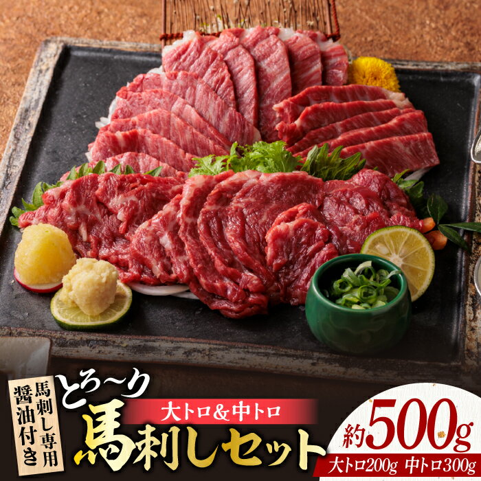 【ふるさと納税】サシが決めての「トロ〜り 馬刺し セット 」 中トロ馬刺し 約50g×6 大トロ馬刺し 約50g×4 計500g 国産 馬刺し 熊本 山鹿市 霜降り サシ 大トロ 中トロ 専用醤油付き 食べ比べ セット 冷凍 小分け おつまみ ヘルシー【株式会社 利他フーズ】[ZBK005]