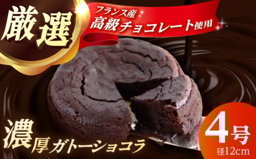 【年内発送】【特選】 ガトーショコラ (4号サイズ) 1個 【かいせい製菓】冷凍 ケーキ けーき チョコレート チョコケーキ お菓子 スイーツ デザート 洋菓子 おやつ クリスマス お誕生日 誕生日 お祝い 記念日 人気 送料無料 お取り寄せ 贈答 ギフト 開成町 ケーキ ショコラ チョコレート チョコ スイーツ デザート ガトーショコラ 冷凍 [BDAJ001]