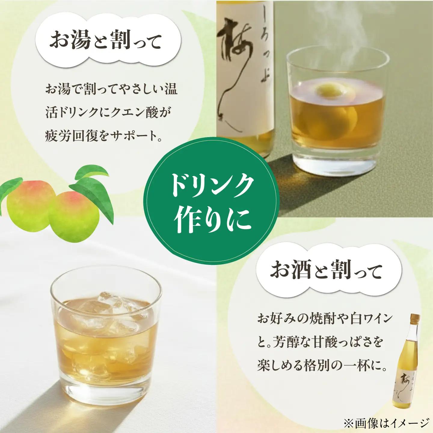 【お中元対象】梅シロップ 七折小梅の梅シロップ 500ml×2本 梅シロップ BJAG001