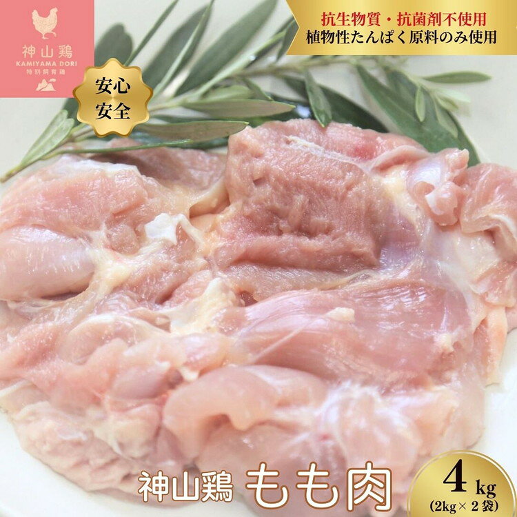 【ふるさと納税】034-003 特別飼育鶏「神山鶏」もも肉4kg (2kg×2袋）｜抗生物質・抗菌剤不使用、植物性たんぱく原料のみ使用 ※離島への配送不可