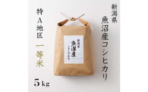 《 特A 一等米 》 令和7年産 魚沼産 コシヒカリ 5kg　慣行栽培　新潟　新潟県　こしひかり　魚沼　特A地区　5キロ