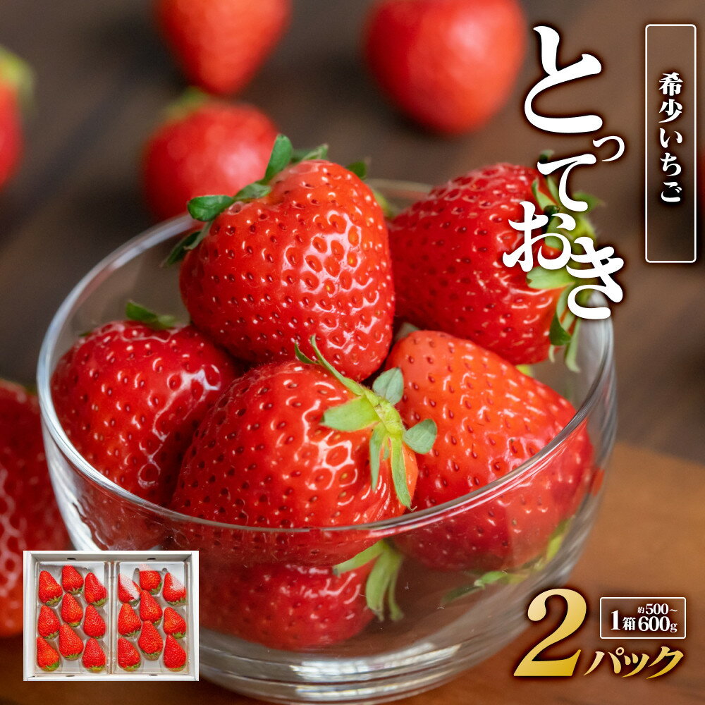 【ふるさと納税】希少いちご『とっておき』 2パック×1箱 ※2026年1月中旬頃～2026年3月下旬頃に順次発送予定 | いちご 苺 フルーツ 果物 新鮮 甘い おすすめ 人気 プレミアム 鳥取県 北栄町