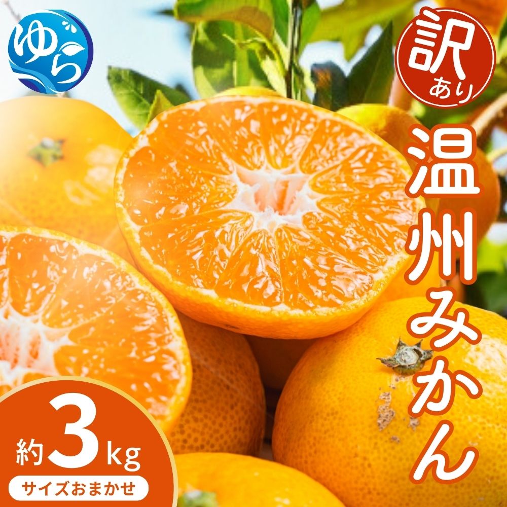 【ふるさと納税】＼レビューキャンペーン中／【先行予約】【訳あり】温州みかん 約3kg (サイズおまかせ)【2025年12月中旬から順次発送予定】※北海道・沖縄・離島配送不可 / ミカン 蜜柑 フルーツ ワケあり 果物 柑橘 果実 由良町 国産 産地直送 和歌山県