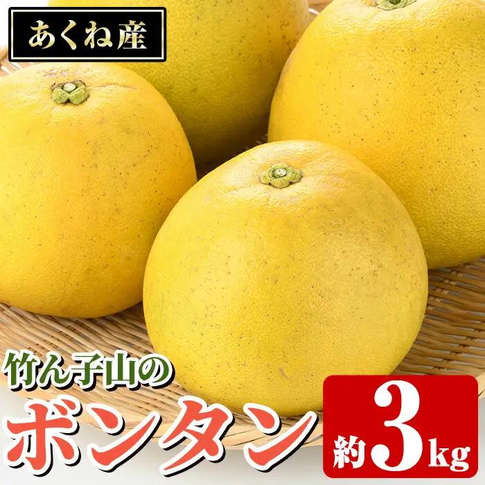 ＜先行予約受付中！2027年1月上旬以降順次発送予定＞竹ん子山のボンタン(約3kg) 国産 鹿児島県産 阿久根産 柑橘 果物 フルーツ ぼんたん 文旦 果実 期間限定 【竹ん子山】akn097-11