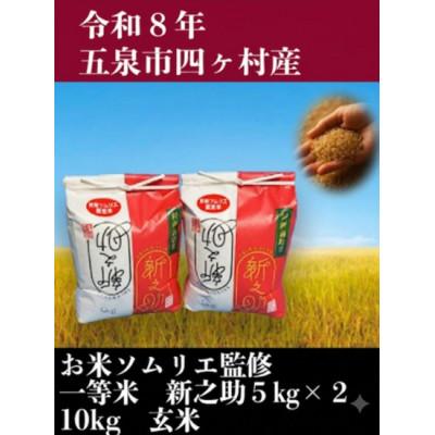 ふるさと納税 五泉市 【先行受付】令和8年産新潟県五泉市産　新之助　10kg(5kg×2袋)　玄米