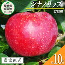 【ふるさと納税】 りんご シナノリップ 家庭用 10kg ヤマウラ農園 令和7年度収穫分 長野県 飯綱町 〔 信州 果物 フルーツ リンゴ 林檎 長野 予約 農家直送 〕発送時期：2025年8月中旬〜2025年8月下旬 {**}