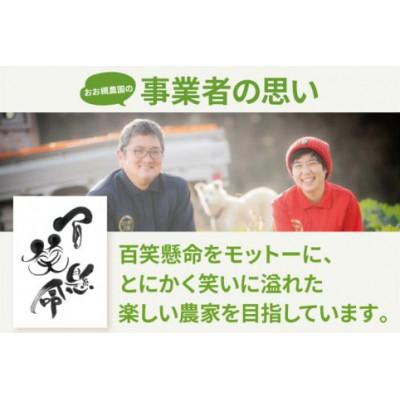ふるさと納税 鹿嶋市 【毎月定期便】季節の野菜セット・百笑懸命栽培野菜セット全3回