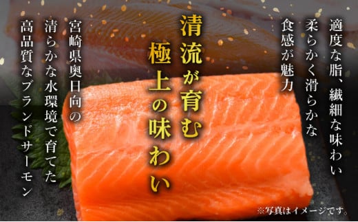 奥日向サーモン ロイン(皮なし柵どり真空)