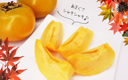 訳あり 柿 約2kg 太秋柿 KiyomotoFarm