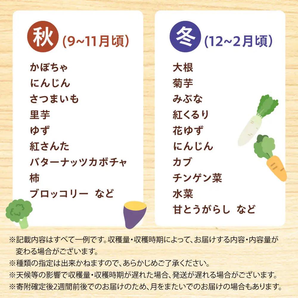【全12回】高槻野菜 おまかせ詰め合わせ定期便 （10種〜15種）[AOCS021]野菜