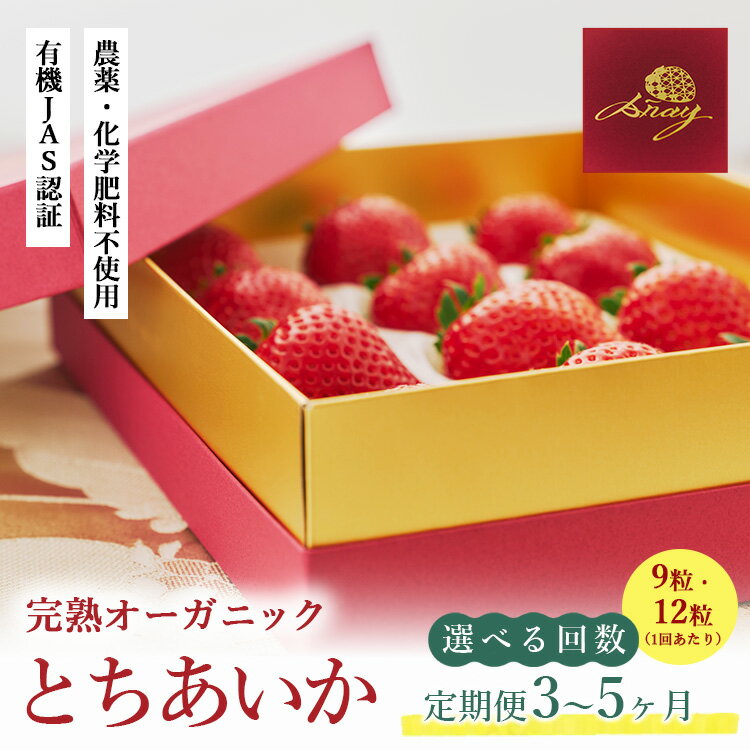 【ふるさと納税】＼選べる配送回数／【定期便】完熟オーガニックとちあいか 9粒または12粒 ※2025年12月上旬～2026年4月下旬頃に順次発送予定