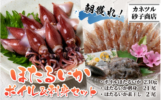 【先行予約】ほたるいか ボイル＆刺身セット【27年3月中旬以降順次発送】カネツル砂子商店【冷蔵 ホタルイカ 旬 朝どれ おつまみ 期間限定 海鮮 ボイル 刺身 ほたるいか 蛍烏賊 ボイルほたるいか 富
