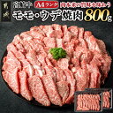 【ふるさと納税】宮崎牛モモ・ウデ焼肉800g - 牛肉 国産黒毛和牛の宮崎牛(A4ランク) モモ/ウデ焼肉用カット 400g×2パック 計800グラム 牛肉の中でも低脂肪・低カロリー 冷凍 送料無料 AC-2603【宮崎県都城市は2年連続ふるさと納税日本一！】