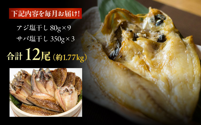 【6回定期便】【L】一夜干し 塩干し（アジ/サバ）計12尾 五島市/愛情食彩 [PCH027]