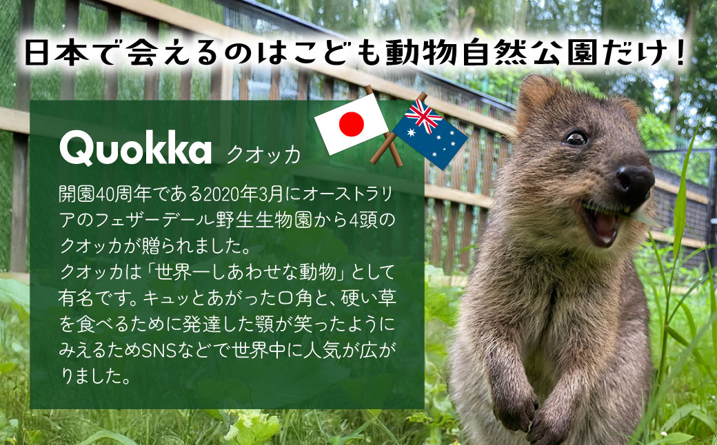 埼玉県こども動物自然公園 年間パスポート引換券 大人1名＋小人1名