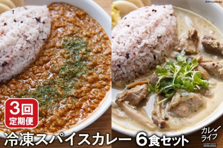 3回 定期便 冷凍 スパイスカレー 6食 セット [カレーライフ 長崎県 雲仙市 item1728] カレー キーマ グリーン チキン ポーク 詰め合わせ 食べ比べ