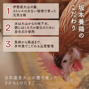 [定期便／6ヶ月×月2回 (全12回)] さかもとのたまご 40個 (36個＋割れ保証4個) 合計480個 [1134]